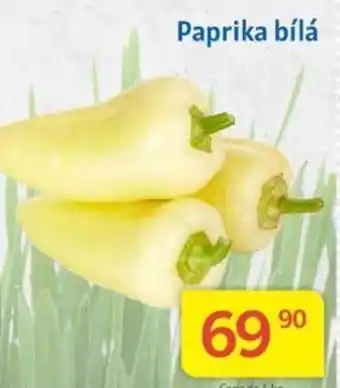 Kubík potraviny Paprika bílá nabídka