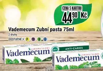 Tamda Foods Vademecum Zubní pasta 75ml nabídka
