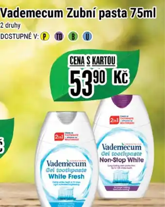 Tamda Foods Vademecum Zubní pasta 75ml nabídka