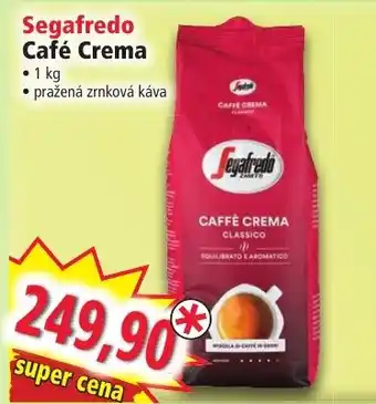 Norma Segafredo Café Crema nabídka