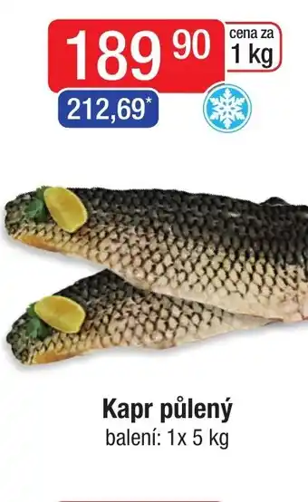 Qanto Kapr půlený nabídka