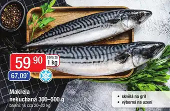 Qanto Makrela nekuchaná 300-500 g nabídka