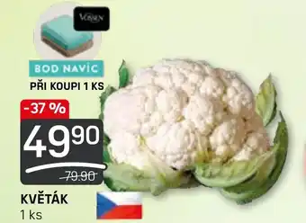 Flop KVĚTÁK nabídka