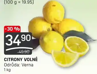 Flop CITRONY VOLNÉ nabídka