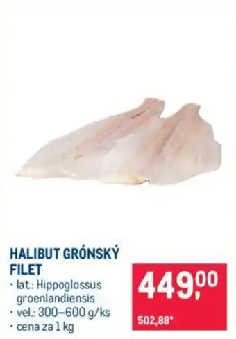 Makro HALIBUT GRÓNSKÝ FILET nabídka