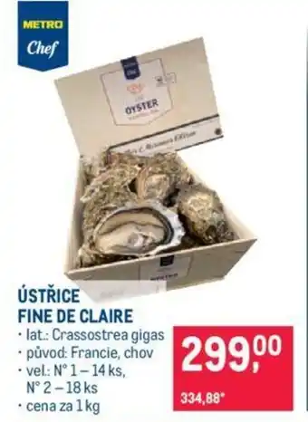 Makro ÚSTŘICE FINE DE CLAIRE nabídka