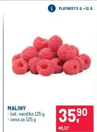 Makro MALINY nabídka