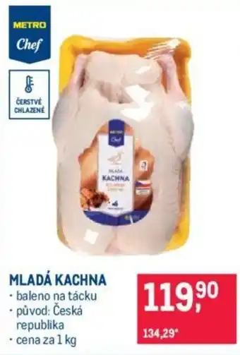 Makro MLADÁ KACHNA nabídka