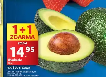 Lidl Avokádo nabídka