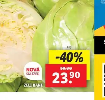 Lidl Zelí rané nabídka