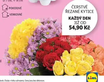 Lidl Čerstvé řezané kytice nabídka