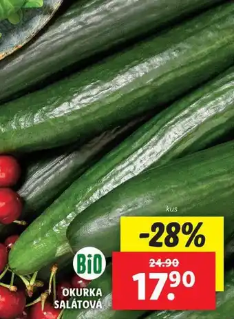 Lidl Okurka salátová nabídka