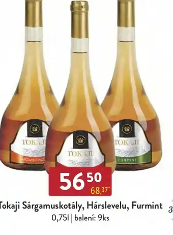 Qanto Tokaji Sárgamuskotály, Hárslevelu, Furmint 0.75L nabídka