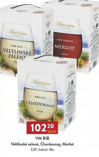 Qanto VM BIB Veltlínské zelené, Chardonnay, Merlot 3.0L nabídka
