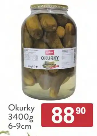 Qanto Okurky 3400g 6-9cm nabídka