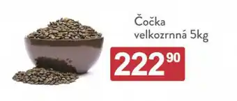 Qanto Čočka velkozrnná 5kg nabídka