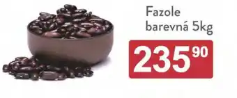Qanto Fazole barevná 5kg nabídka