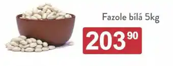 Qanto Fazole bílá 5kg nabídka