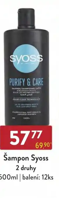 Qanto Šampon Syoss nabídka