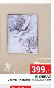 Baumax Obraz nabídka