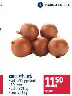 Makro Cibule žlutá nabídka