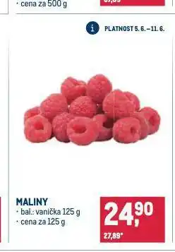 Makro Maliny nabídka