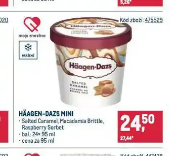 Makro Zmrzlina haagen-dazs nabídka