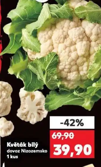 Kaufland Květák bílý nabídka