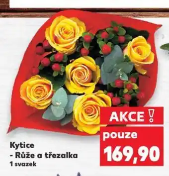 Kaufland Kytice - Růže a třezalka nabídka