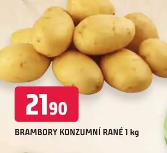 Trefa BRAMBORY KONZUMNÍ RANÉ 1 kg nabídka