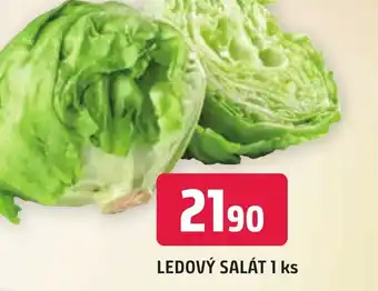 LEDOVÝ SALÁT 1 ks