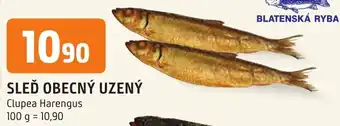 Trefa SLEĎ OBECNÝ UZENÝ nabídka