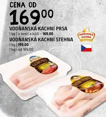 Terno VODŇANSKÁ KACHNÍ PRSA nabídka