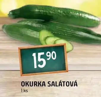 Terno OKURKA SALÁTOVÁ nabídka