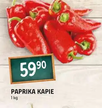 Terno PAPRIKA KAPIE nabídka