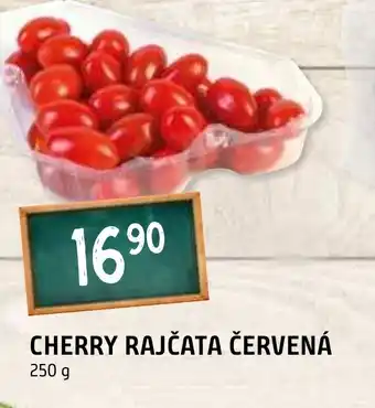 Terno CHERRY RAJČATA ČERVENÁ nabídka