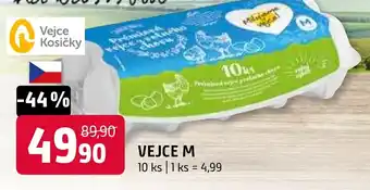 Terno VEJCE M nabídka