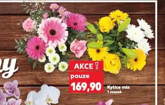 Kaufland Kytice mix nabídka