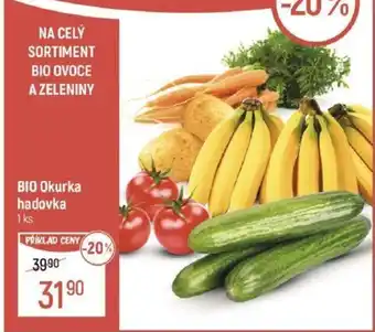 Globus BIO Okurka hadovka nabídka