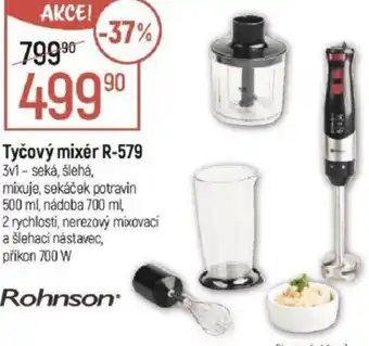 Globus Tyčový mixér R-579 nabídka