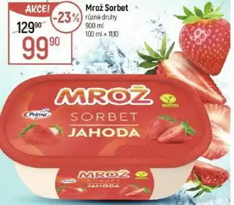 Globus Mrož Sorbet nabídka