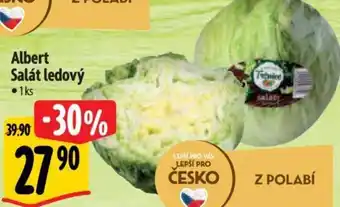 Albert Albert Salát ledový nabídka