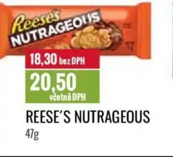 Ratio REESE'S NUTRAGEOUS nabídka