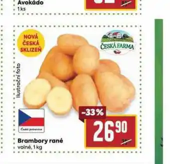 Billa Brambory rané nabídka