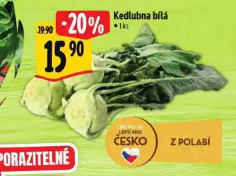 Albert Kedlubna bílá nabídka