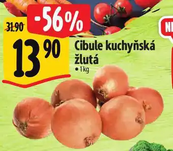 Albert Cibule kuchyňská žlutá nabídka