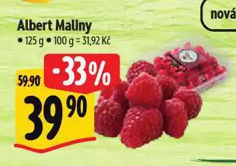 Albert Maliny nabídka