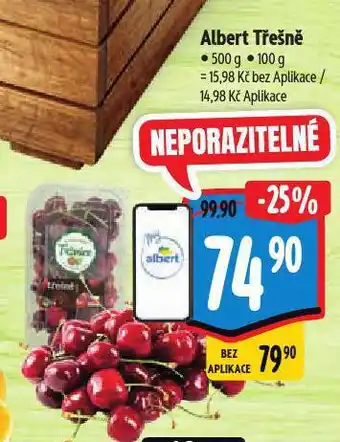 Albert Třešně nabídka