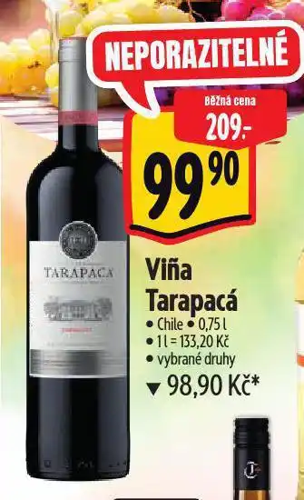 Albert Vina tarapacá nabídka