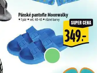 Albert Pánské pantofle nabídka